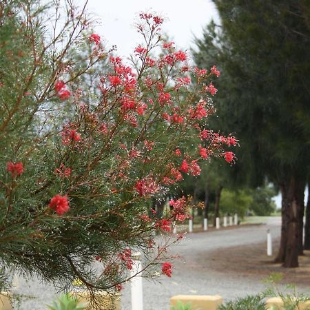 Bed and Breakfast The Heights Bed & Breakfast Jurien Bay Zewnętrze zdjęcie