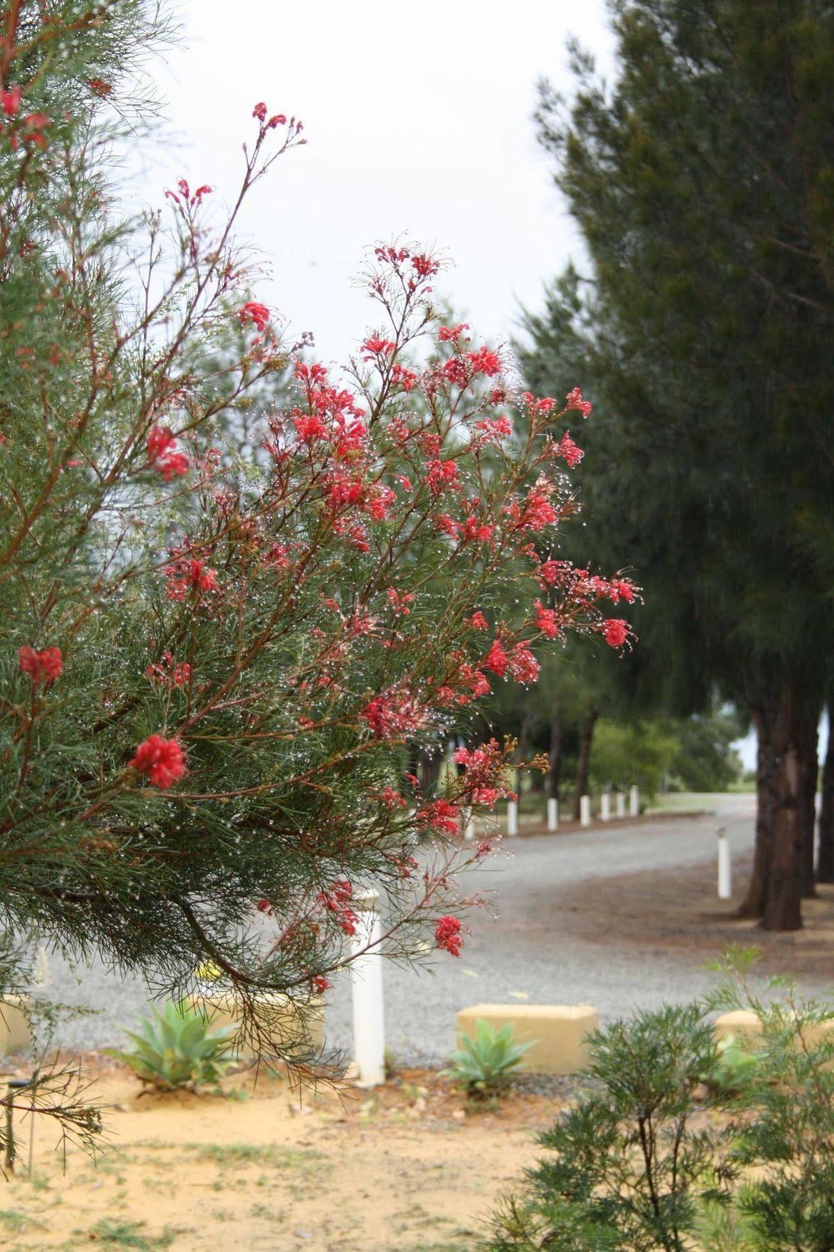 Bed and Breakfast The Heights Bed & Breakfast Jurien Bay Zewnętrze zdjęcie